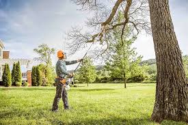 Trusted Keene, NH Tree Services Experts